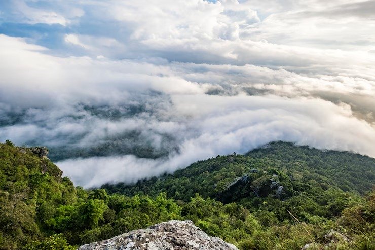 Valley view landscape